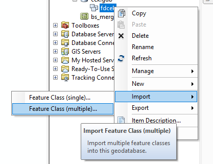 Cleaning Import Feature Class
